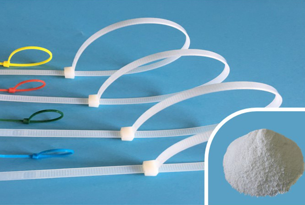 Agent de nucleare XS-CH-101 pentru PA